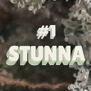 #1 Stunna Cannabis Strain