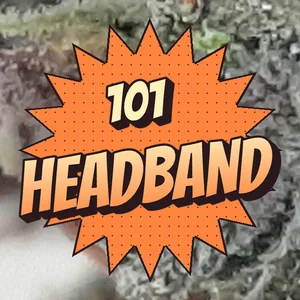 101 Headband Cannabis Strain