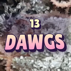 13 Dawgs Cannabis Strain