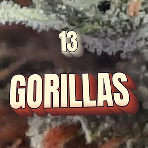 13 Gorillas Cannabis Strain