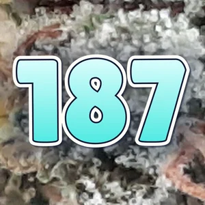 187 Cannabis Strain
