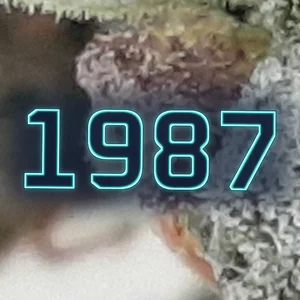1987 Cannabis Strain