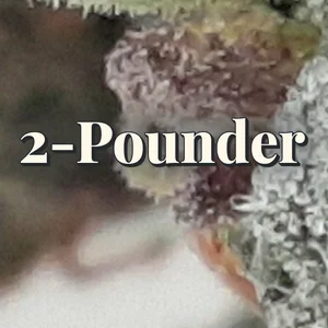 2-Pounder Cannabis Strain