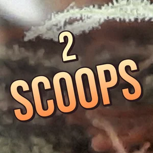 2 Scoops Cannabis Strain