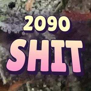 2090 Shit Cannabis Strain