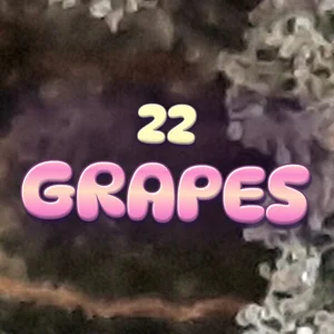 22 Grapes Cannabis Strain
