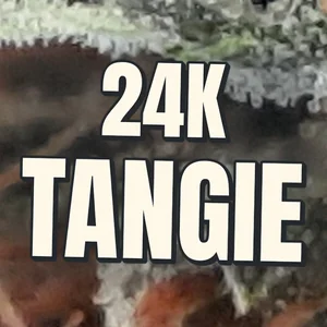 24K Tangie Cannabis Strain