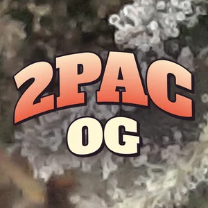 2Pac OG Cannabis Strain