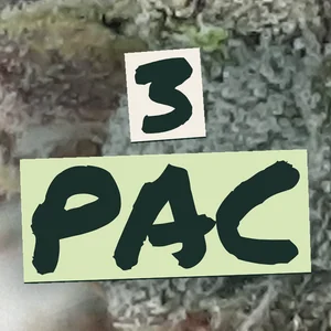 3 Pac Cannabis Strain