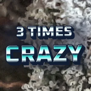 3 Times Crazy Cannabis Strain