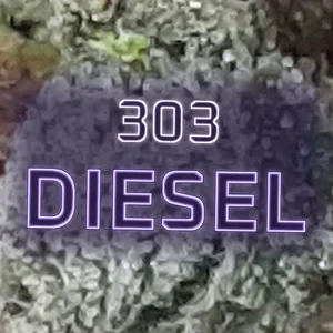 303 Diesel Cannabis Strain