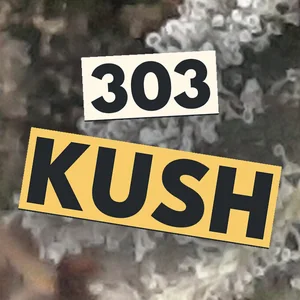 303 Kush Cannabis Strain