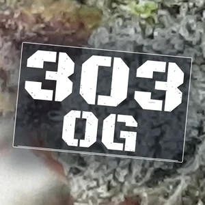 303 OG Cannabis Strain