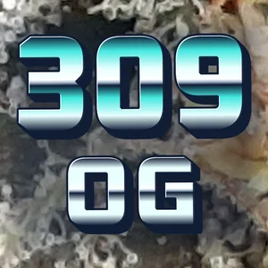 309 OG Cannabis Strain