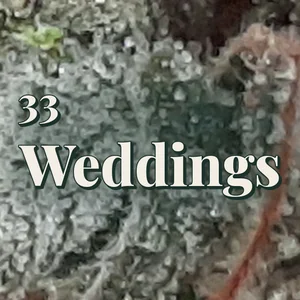 33 Weddings Cannabis Strain