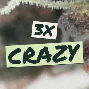 3X Crazy Cannabis Strain