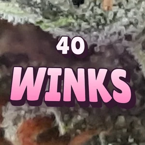 40 Winks Cannabis Strain