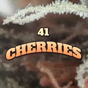 41 Cherries Cannabis Strain