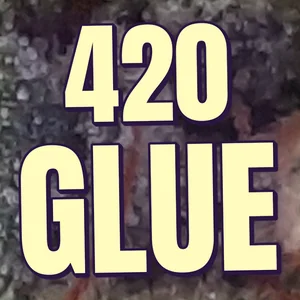 420 Glue Cannabis Strain