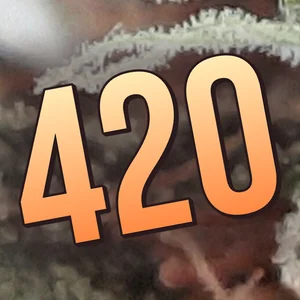 420 Cannabis Strain