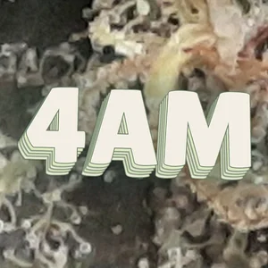 4am Cannabis Strain