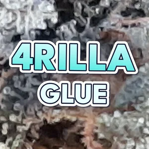 4Rilla Glue Cannabis Strain