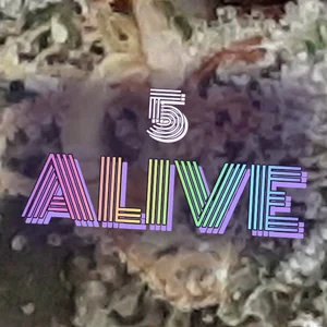 5 Alive Cannabis Strain