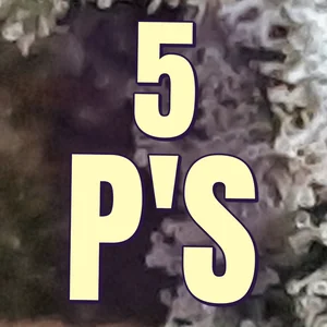 5 P's Cannabis Strain