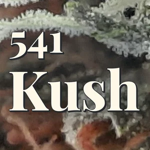 541 Kush Cannabis Strain