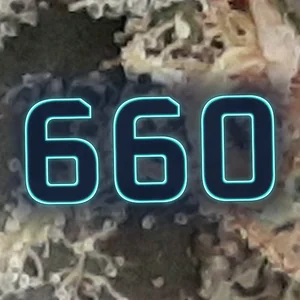 660 Cannabis Strain