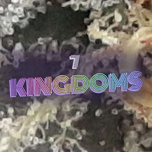 7 Kingdoms Cannabis Strain