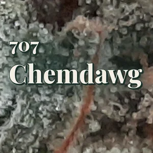 707 Chemdawg Cannabis Strain