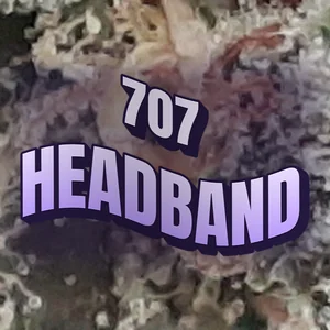 707 Headband Cannabis Strain
