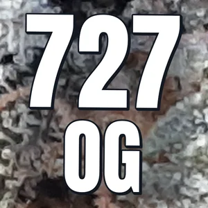 727 OG Cannabis Strain