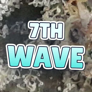 7th Wave Cannabis Strain