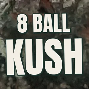 8 Ball Kush Cannabis Strain
