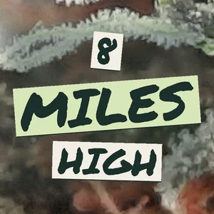 8 Miles High Cannabis Strain