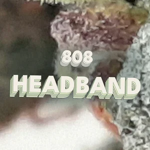 808 Headband Cannabis Strain