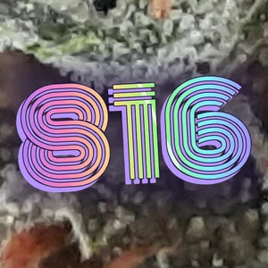 816 Cannabis Strain