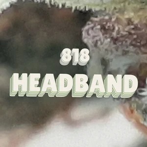 818 Headband Cannabis Strain