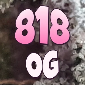 818 OG Cannabis Strain