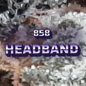 858 Headband Cannabis Strain