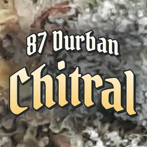 87 Durban Chitral Cannabis Strain