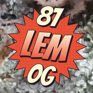 87 Lem OG Cannabis Strain