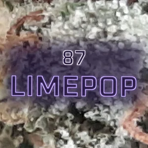 87 Limepop Cannabis Strain
