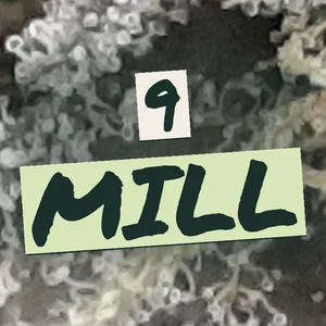 9 Mill Cannabis Strain