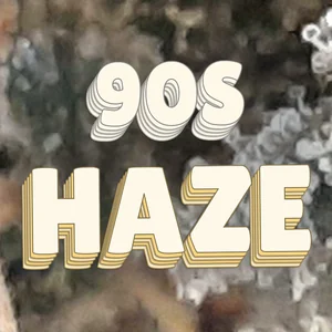 90s Haze Cannabis Strain