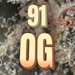 91 OG Cannabis Strain