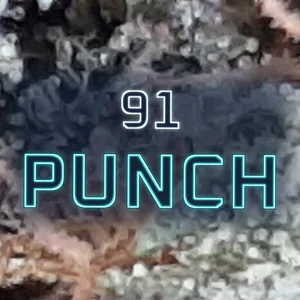 91 Punch Cannabis Strain