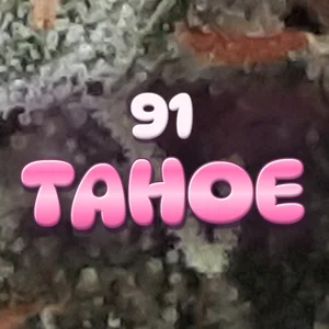 91 Tahoe Cannabis Strain